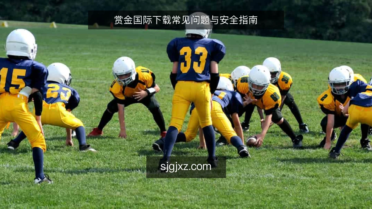 赏金国际下载常见问题与安全指南