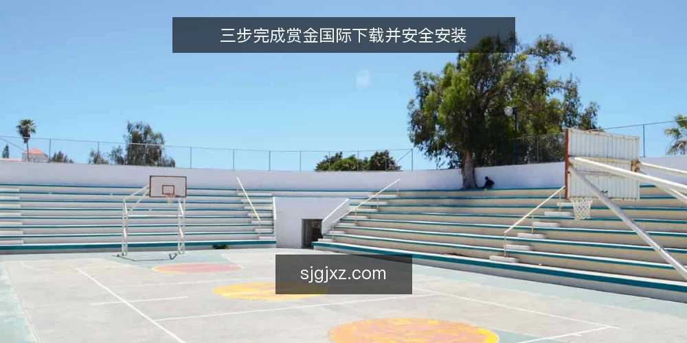 三步完成赏金国际下载并安全安装 — 准备下载环境 配图