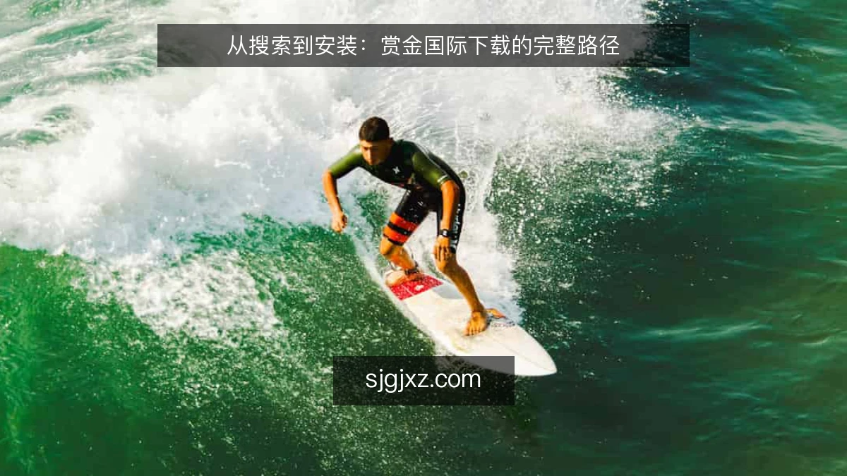 从搜索到安装:赏金国际下载的完整路径