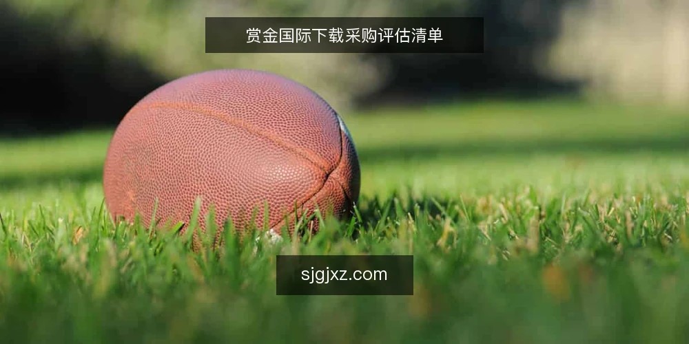 赏金国际下载采购评估清单 — 为什么现在要审计下载流程 配图