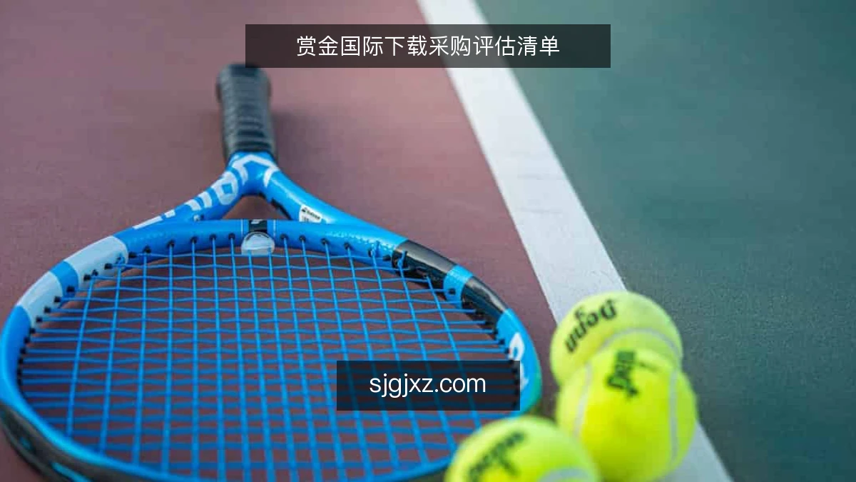 赏金国际下载采购评估清单
