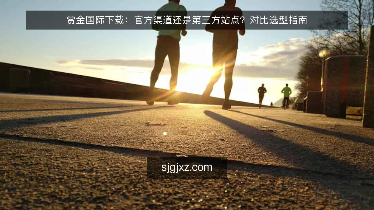 赏金国际下载:官方渠道还是第三方站点?对比选型指南