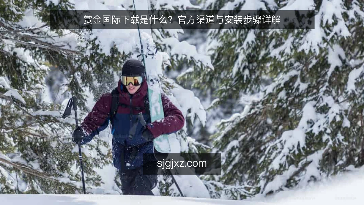 赏金国际下载是什么?官方渠道与安装步骤详解