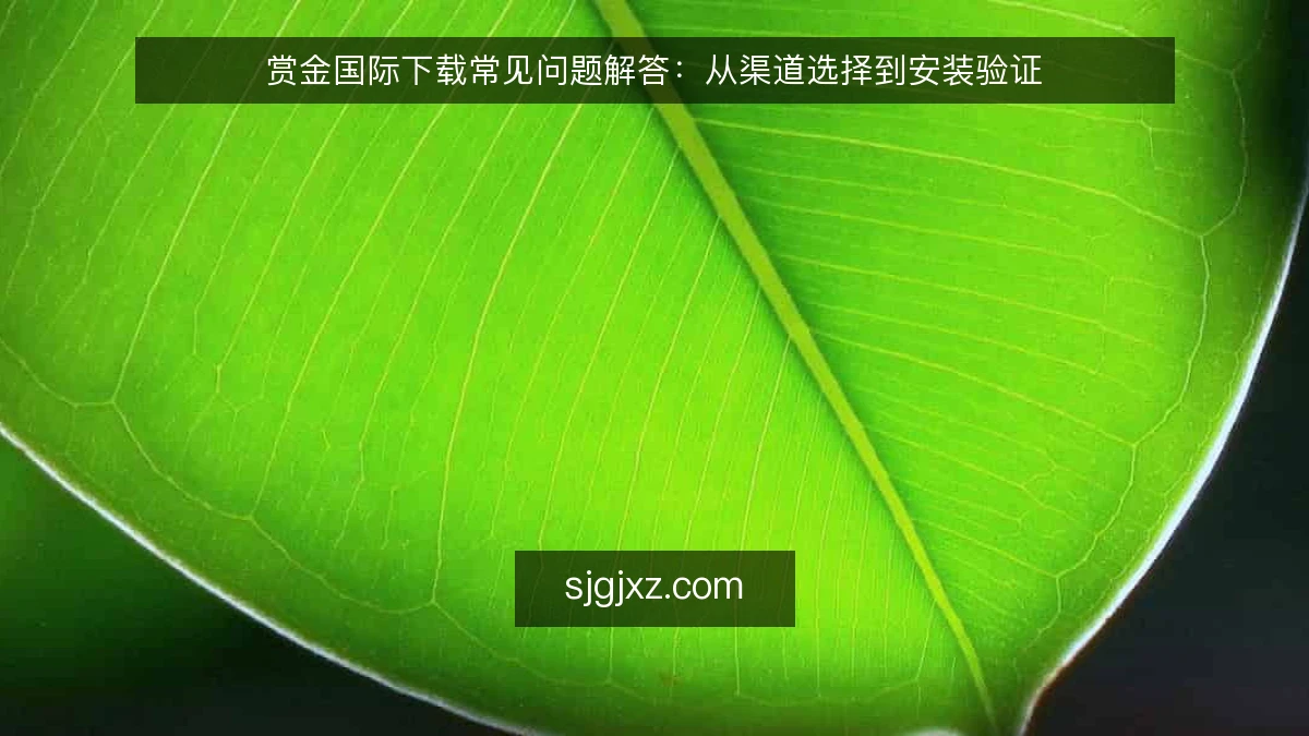 赏金国际下载常见问题解答：从渠道选择到安装验证