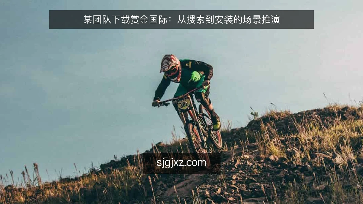 某团队下载赏金国际:从搜索到安装的场景推演