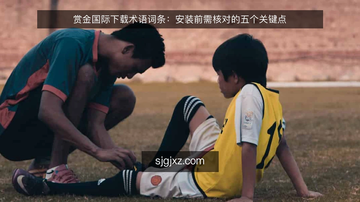 赏金国际下载术语词条:安装前需核对的五个关键点