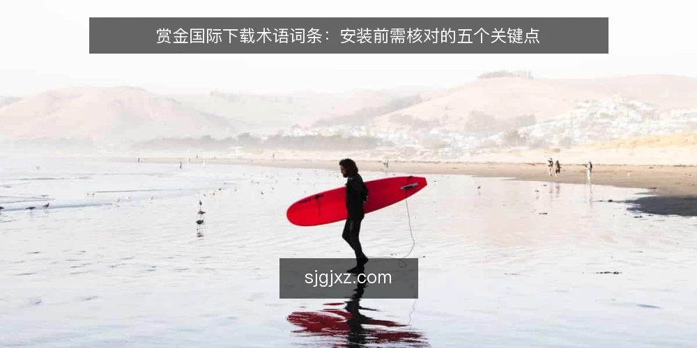 赏金国际下载术语词条:安装前需核对的五个关键点 — 信号:哪些迹象提示下载入口需要核对 配图