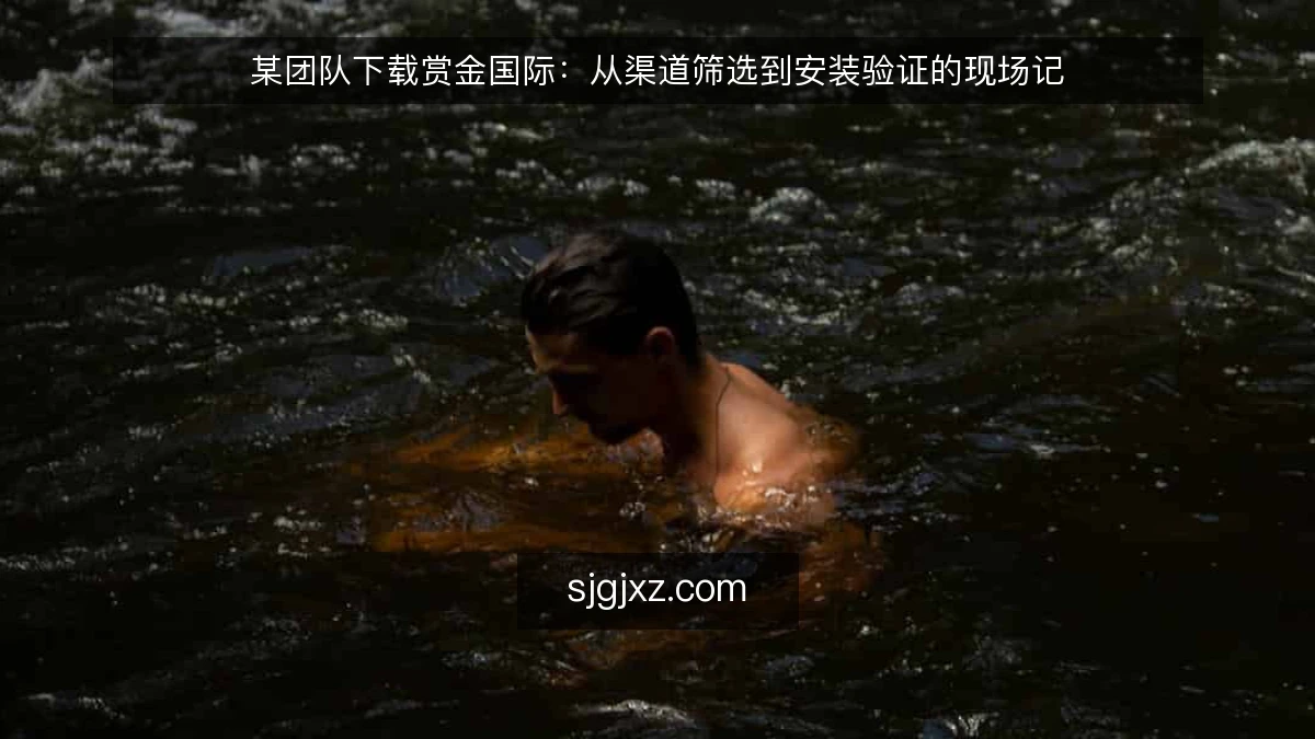 某团队下载赏金国际：从渠道筛选到安装验证的现场记