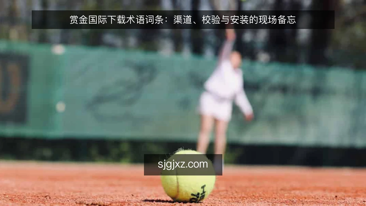 赏金国际下载术语词条:渠道、校验与安装的现场备忘