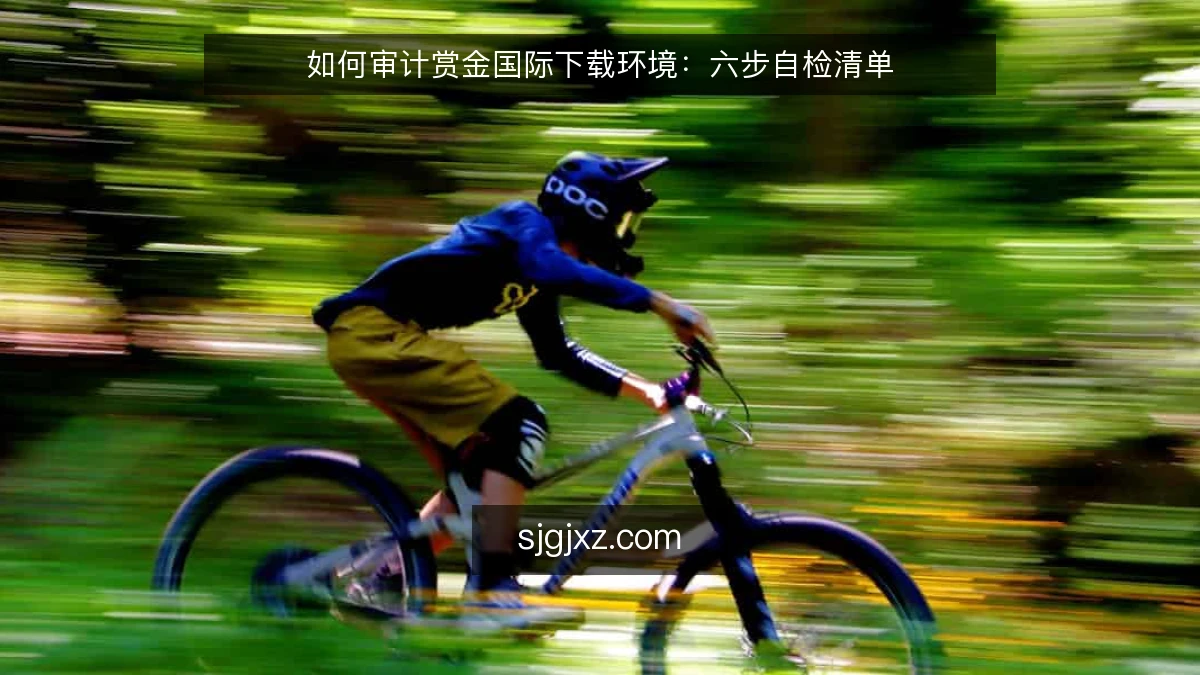 如何审计赏金国际下载环境：六步自检清单